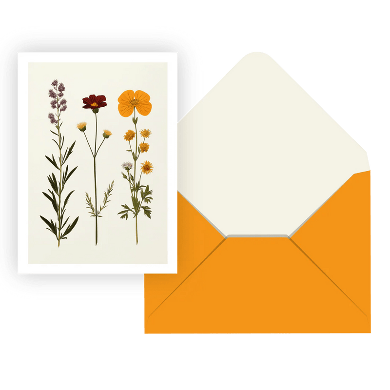 Pierre Belvedere - Carte DE Souhait IND. / EN Toute Gratitude Toys & Games