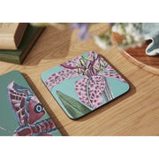 Pimpernel - BG FLORA & FAUNA COASTERS S/6 Home & Kitchen