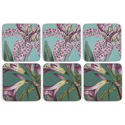 Pimpernel - BG FLORA & FAUNA COASTERS S/6 Home & Kitchen
