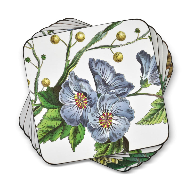 Pimpernel - Stafford Blooms Coasters (Set of 6) | 4 x 4 in Home & Kitchen