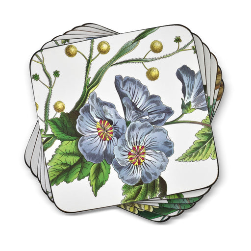 Pimpernel - Stafford Blooms Coasters (Set of 6) | 4 x 4 in Home & Kitchen