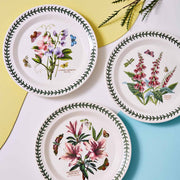 Portmeirion - Dinner Plate 10" Pack Of 6 Home & Kitchen