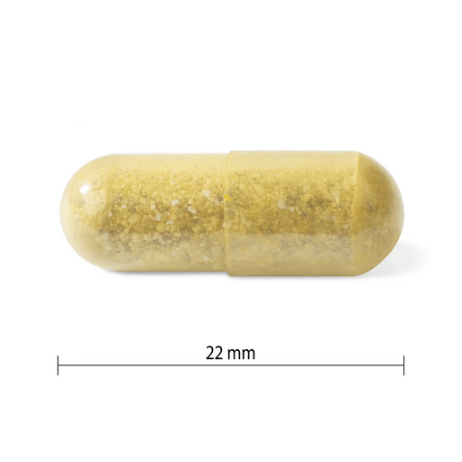 Progressive - MultiVitamins Men | 50+ 60 Vcaps Beauty & Personal Care