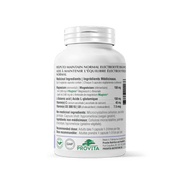 Provita - Magnesium Threonate 90cap Health & Wellness