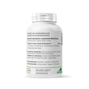 Provita - Moringa Forte 60Caps. Health & Wellness