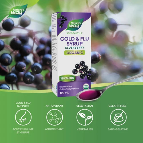 Nature's Way - Sambucus Organic Elderberry Cold & Flu Syrup