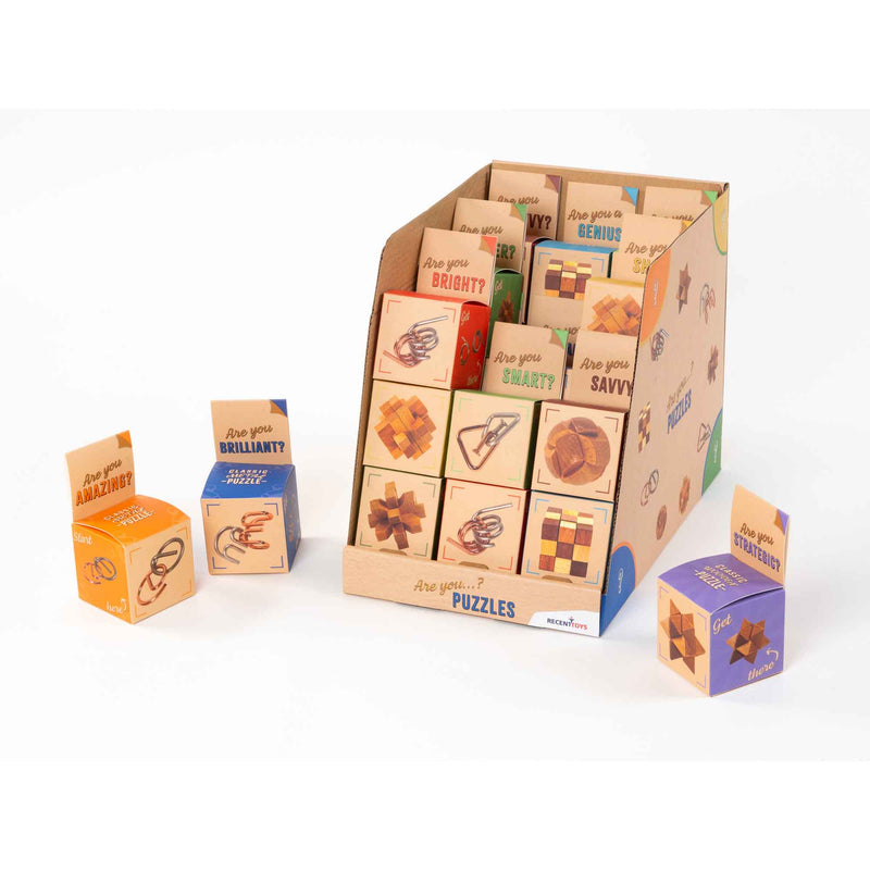 RECENT TOYS - "ARE YOU" SERIES BRAIN PUZZLE (27PCS/DISPLAY - 9ASST) Toys & Games