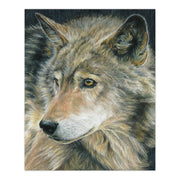ROYAL - CPN Curious Eyes Arts & Entertainment