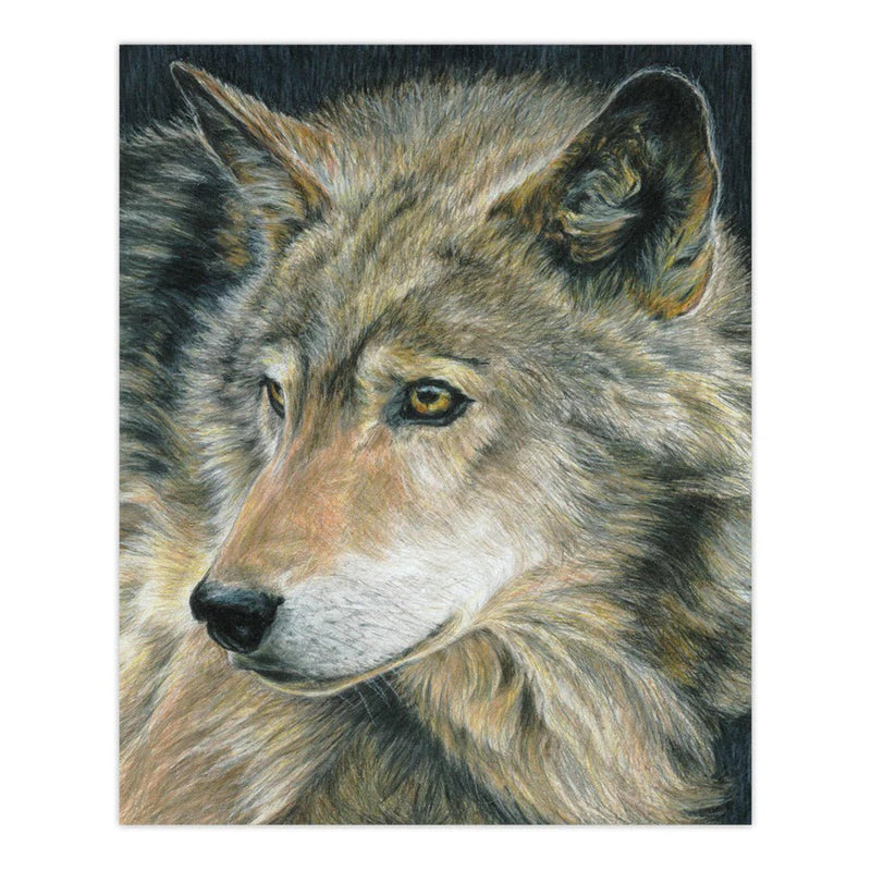 ROYAL - CPN Curious Eyes Arts & Entertainment