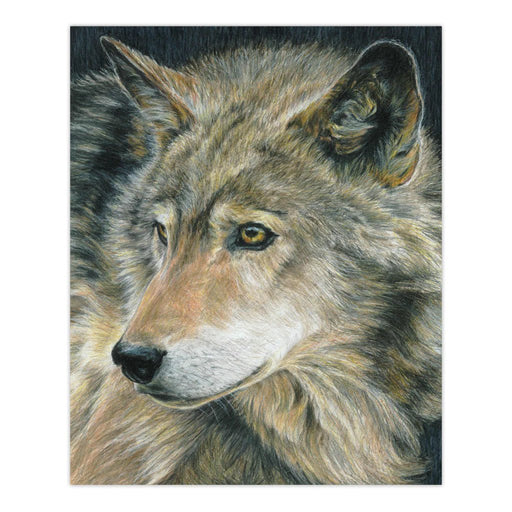 ROYAL - CPN Curious Eyes Arts & Entertainment