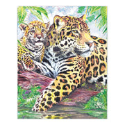 ROYAL - CPN Jaguar by Pool Arts & Entertainment