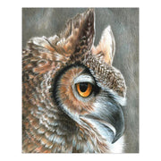 ROYAL - CPN Sepia Owl Arts & Entertainment