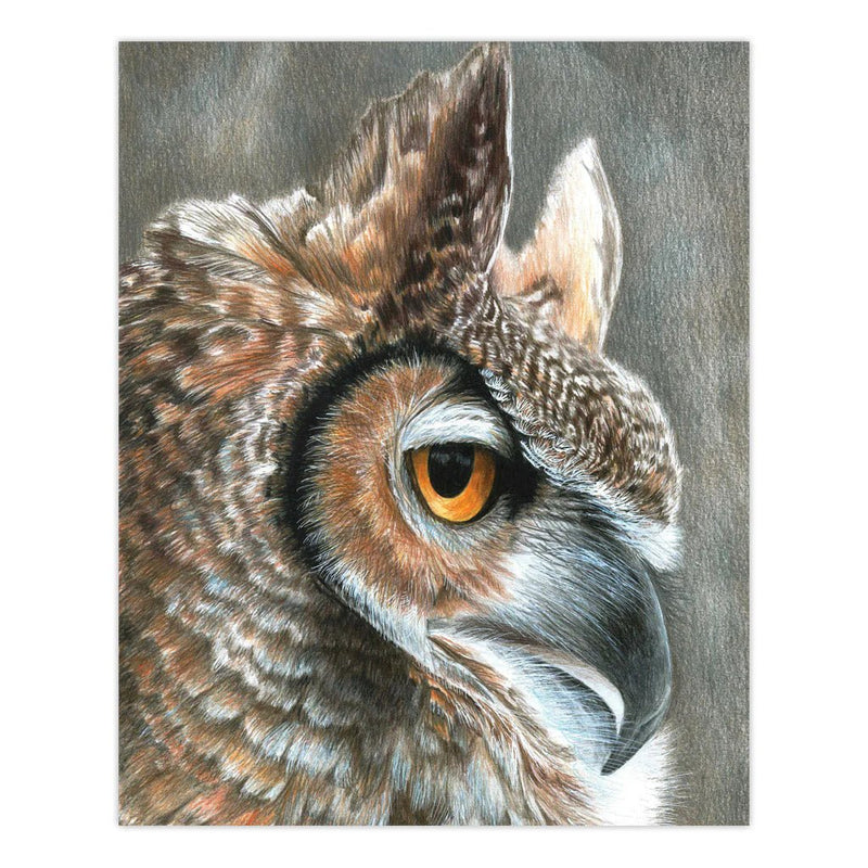 ROYAL - CPN Sepia Owl Arts & Entertainment