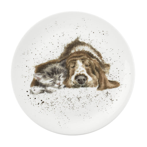 Royal Worcester - Wrendale Designs - Coupe Plate - Dog and Catnap | 8 in Home & Kitchen