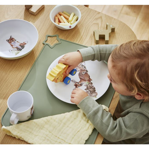 Royal Worcester - Wrendale Designs - Plate & Bowl Set - Woodland Animals (2 - Piece Set) Home & Kitchen