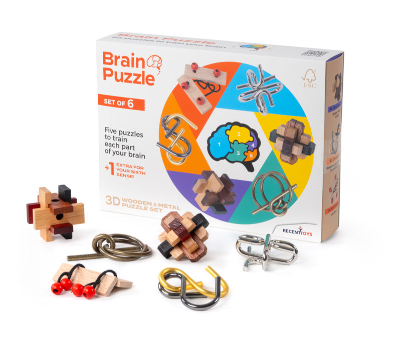 RECENT TOYS - BRAIN PUZZLE - SET OF 6