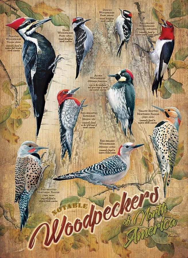Cobble Hill - Notable Woodpeckers