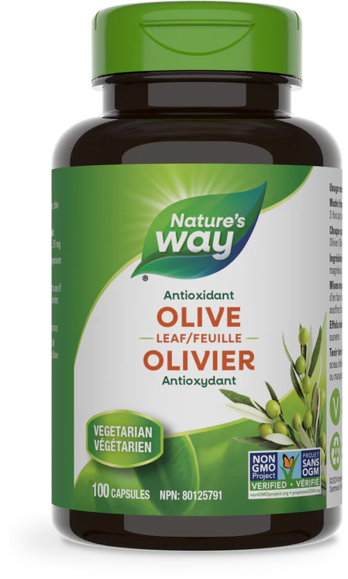 Nature's Way - Olive Leaf