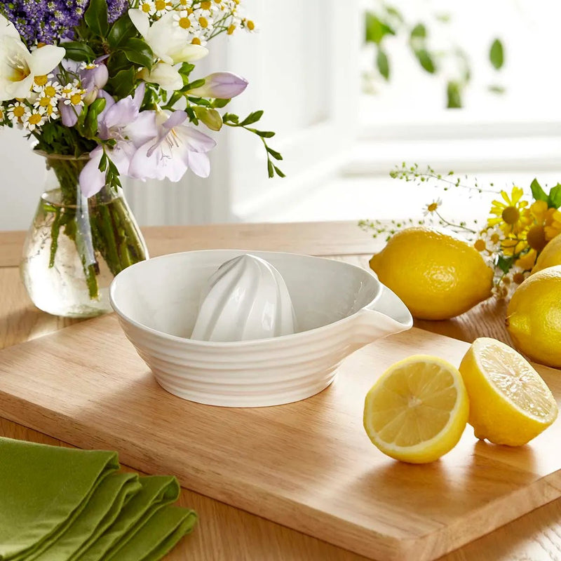 Sophie Conran - White - Juicer | 7 x 6 in Home & Kitchen