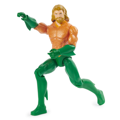 Spin Master - 12" DC Figure Full Assortment Toys & Games