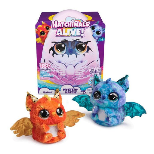 Spin Master - Hatchimals Big Egg Draggle Toys & Games