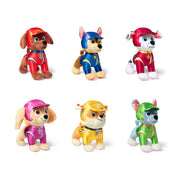 Spin Master - Paw Patrol Basic Plush (Single Random Pick) CDU 10pk Toys & Games