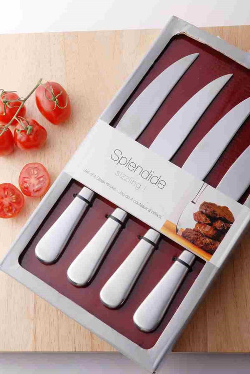 Splendide - CASUAL Steak Knives (Set of 4) SATIN Home & Kitchen