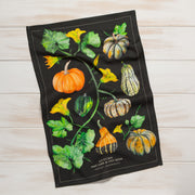 Danica - Autumn Squash Dishtowel - lifestyle