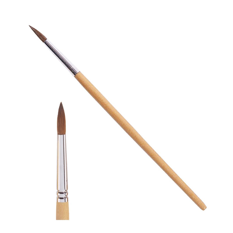 Star Nail - Oval Nail Brush 5 Beauty & Personal Care