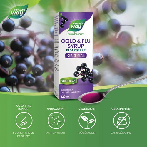Nature's Way - Sambucus Original Elderberry Cold & Flu Syrup