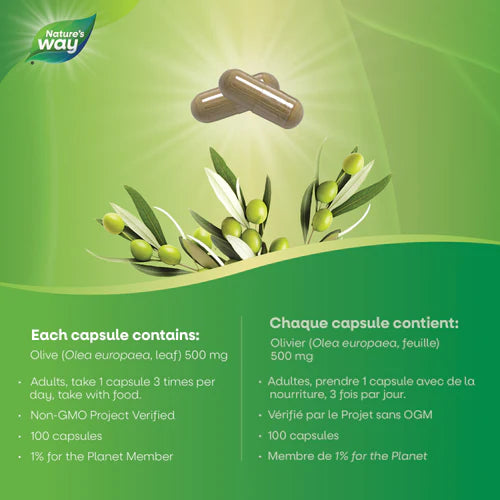 Nature's Way - Olive Leaf