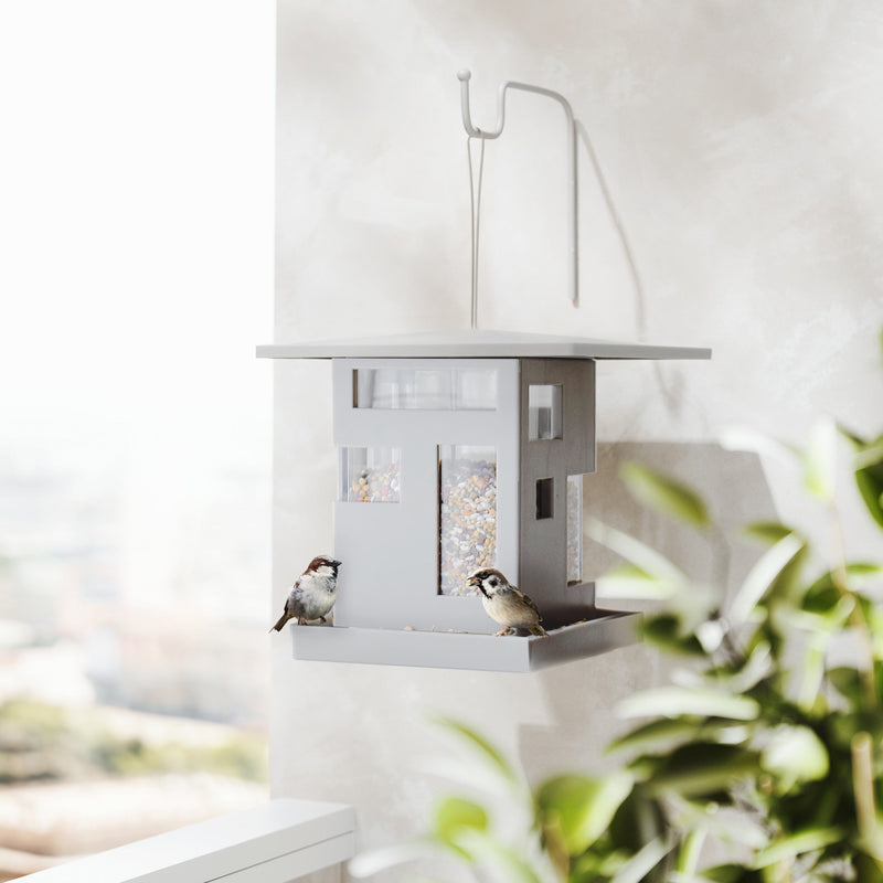 Bird Cafe - image 5