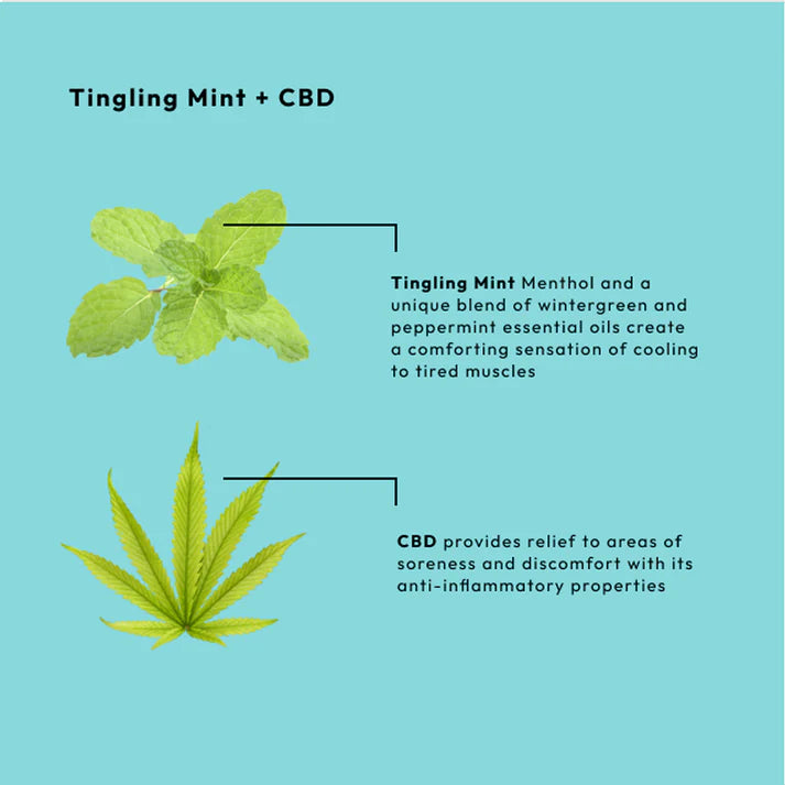 BCL Spa - Sugar Scrub Tingling Mint + CBD