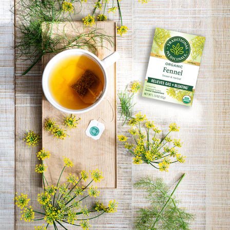 Traditional Medicinals - Organic Fennel Tea 16 Tbags Food & Candy