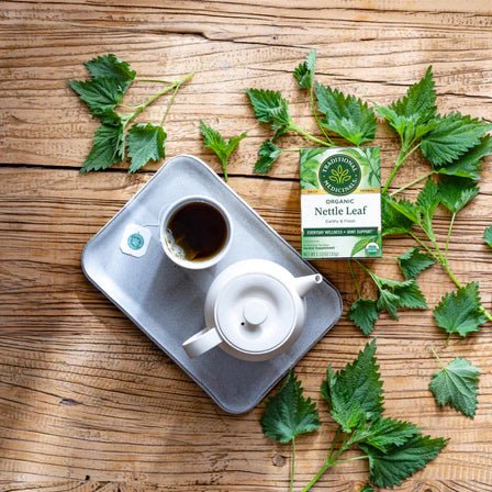 Traditional Medicinals - Organic Nettle Leaf 16 Tbags Food & Candy