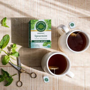Traditional Medicinals - Spearmint 16 Tbags Food & Candy