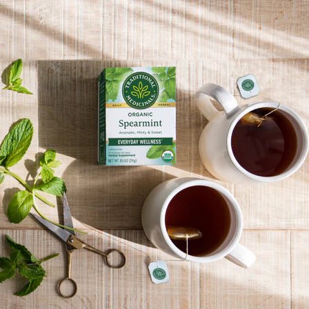 Traditional Medicinals - Spearmint 16 Tbags Food & Candy