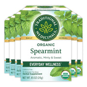 Traditional Medicinals - Spearmint 16 Tbags Food & Candy