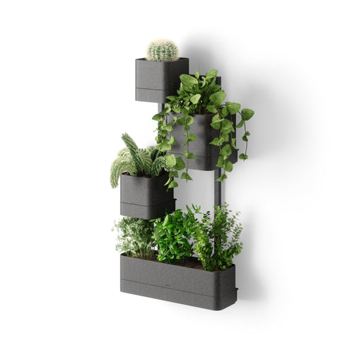 UMBRA - Cubiko Wall Planter | Modern Geometric Vertical Wall - Mounted Planter Home & Kitchen Black