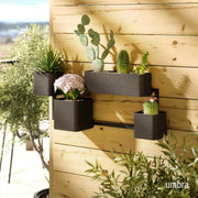 UMBRA - Cubiko Wall Planter | Modern Geometric Vertical Wall - Mounted Planter Home & Kitchen Black