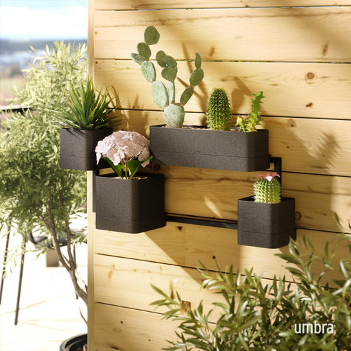 UMBRA - Cubiko Wall Planter | Modern Geometric Vertical Wall - Mounted Planter Home & Kitchen Black