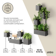 UMBRA - Cubiko Wall Planter | Modern Geometric Vertical Wall - Mounted Planter Home & Kitchen Black