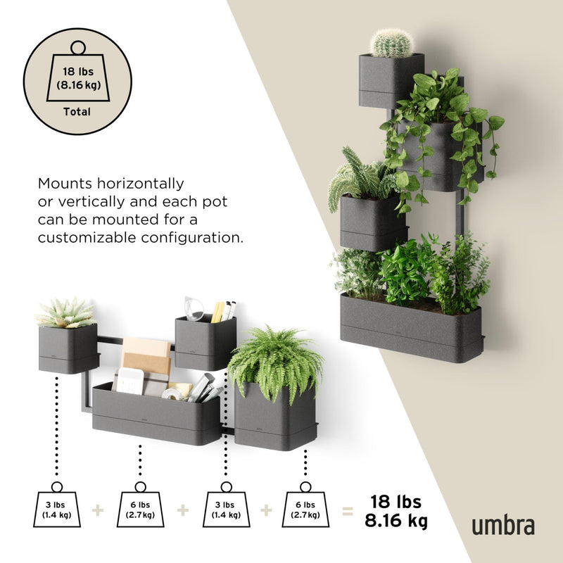 UMBRA - Cubiko Wall Planter | Modern Geometric Vertical Wall - Mounted Planter Home & Kitchen Black