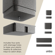 UMBRA - Cubiko Wall Planter | Modern Geometric Vertical Wall - Mounted Planter Home & Kitchen Black