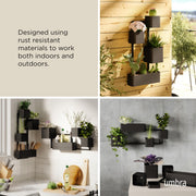 UMBRA - Cubiko Wall Planter | Modern Geometric Vertical Wall - Mounted Planter Home & Kitchen Black