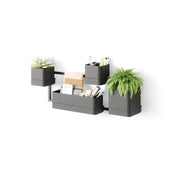 UMBRA - Cubiko Wall Planter | Modern Geometric Vertical Wall - Mounted Planter Home & Kitchen Black