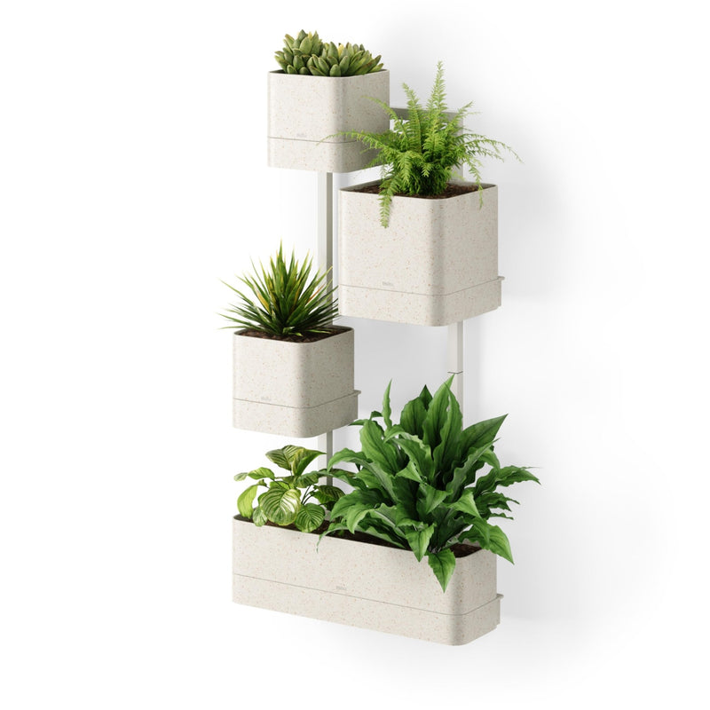 UMBRA - Cubiko Wall Planter | Modern Geometric Vertical Wall - Mounted Planter Home & Kitchen Sand