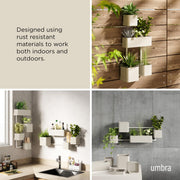 UMBRA - Cubiko Wall Planter | Modern Geometric Vertical Wall - Mounted Planter Home & Kitchen Sand