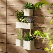 UMBRA - Cubiko Wall Planter | Modern Geometric Vertical Wall - Mounted Planter Home & Kitchen Sand