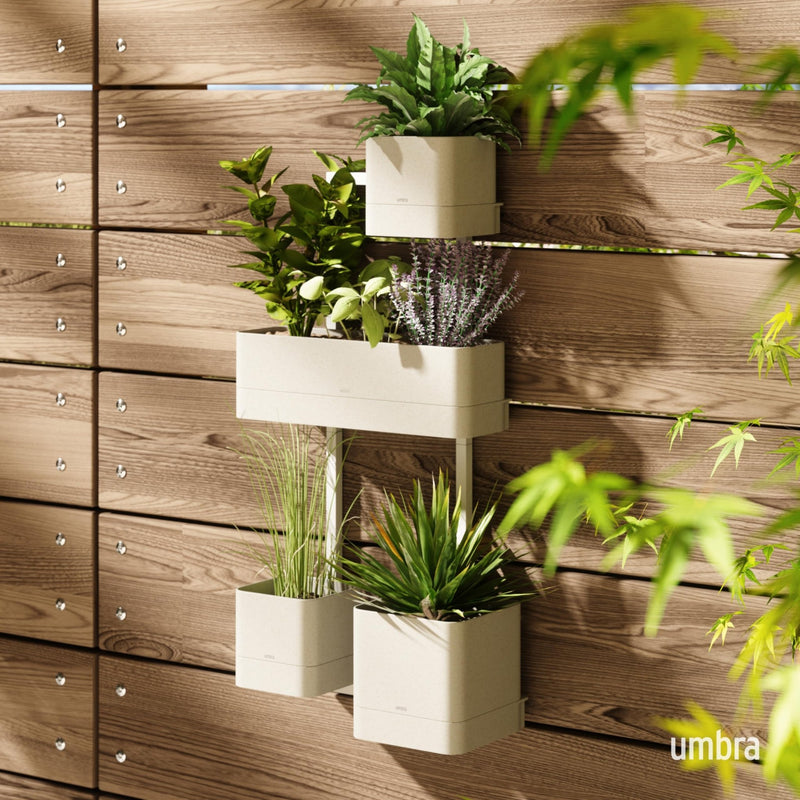 UMBRA - Cubiko Wall Planter | Modern Geometric Vertical Wall - Mounted Planter Home & Kitchen Sand
